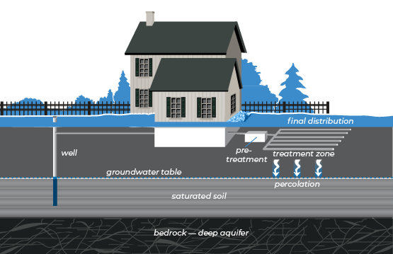 Septic Sample 1